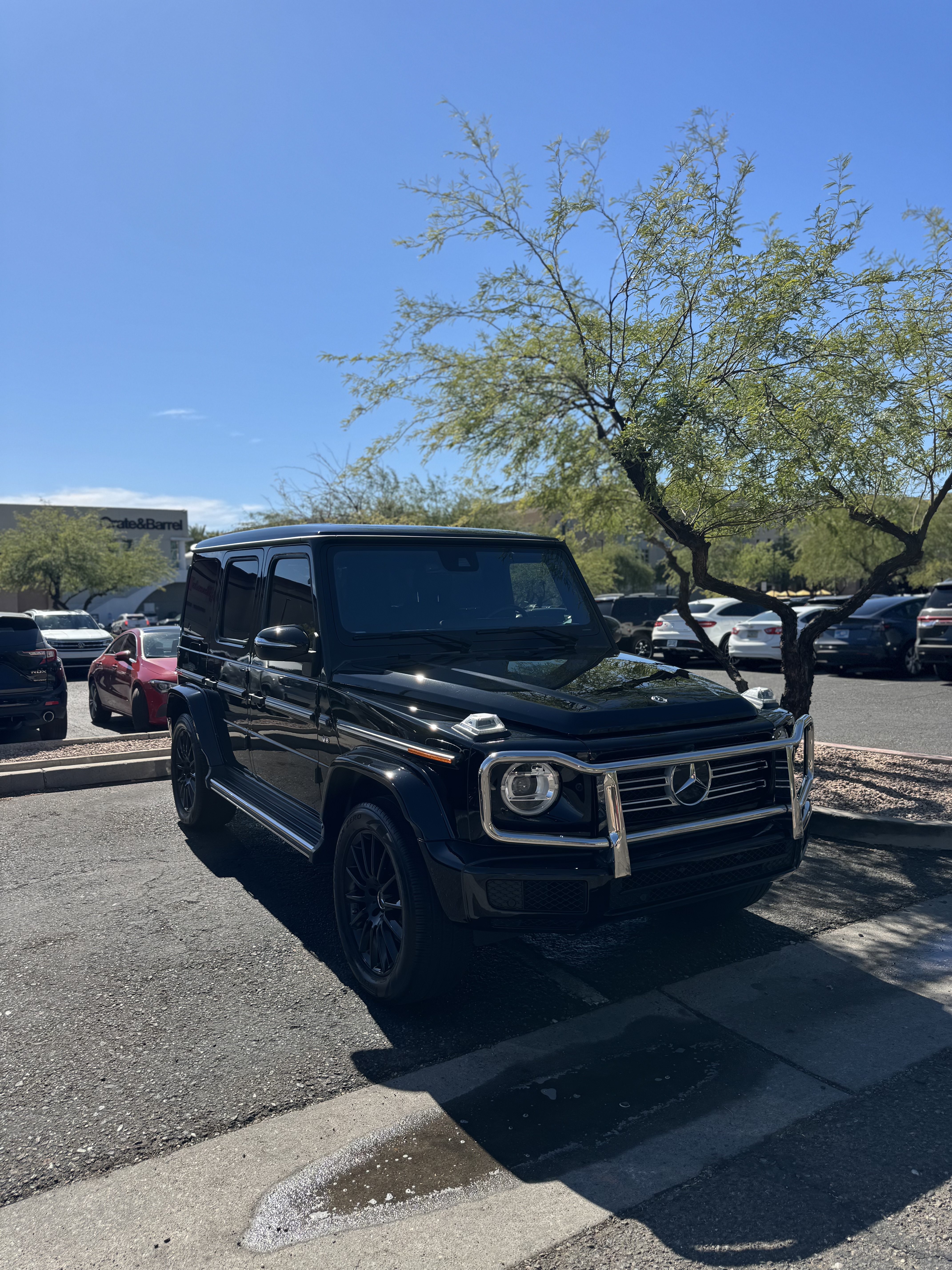 Entry Level “Mini” Detail mobile detailing